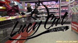 Lucy cat - supermarket