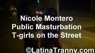 Shemale Mix nikki montero street tgirls public masturbation 3 xxx premium porn videos