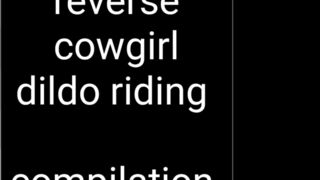 Quinnyspiggies Reverse Cowgirl Dildo Riding Cumpilation Promise The Cumpilations Will End Soon An xxx onlyfans porn videos