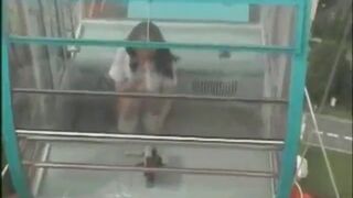 Masterdav - WEBCAM - japanese girl nudity masturbating in Ferris wheel