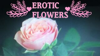 Effy_Elizabeth - Flowers & Cream